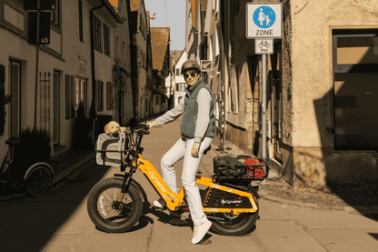 Cyrusher Glider Cargo E-Bike