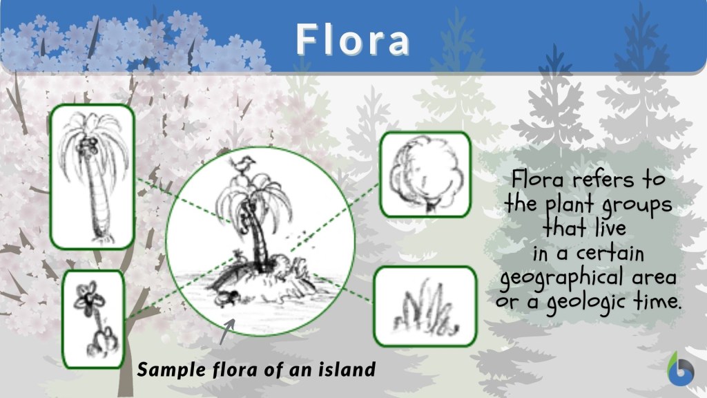 Picture of: Flora Definition and Examples – Biology Online Dictionary